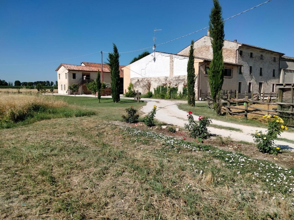 B&B Turistic 7 Castel Goffredo Exterior foto