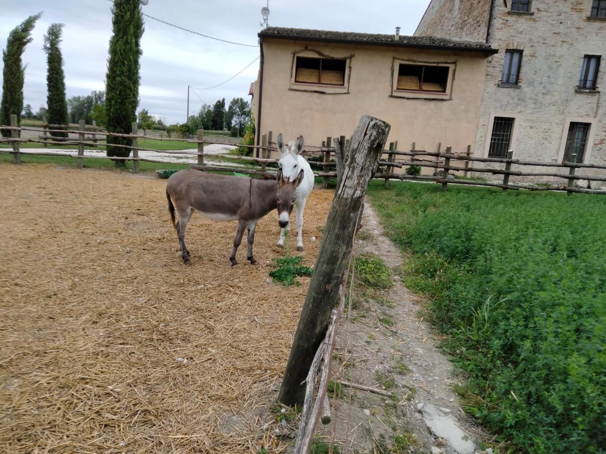 B&B Turistic 7 Castel Goffredo Exterior foto
