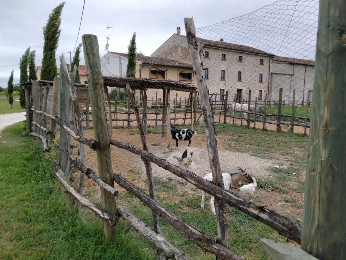 B&B Turistic 7 Castel Goffredo Exterior foto