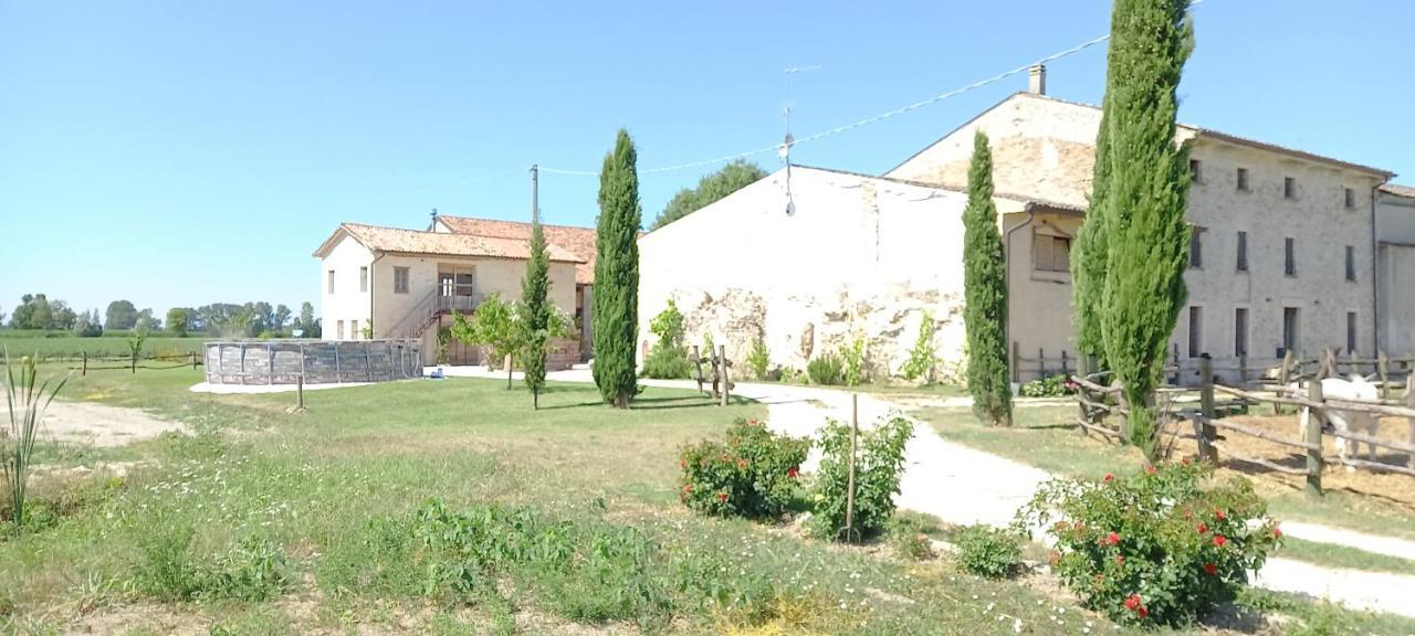 B&B Turistic 7 Castel Goffredo Exterior foto